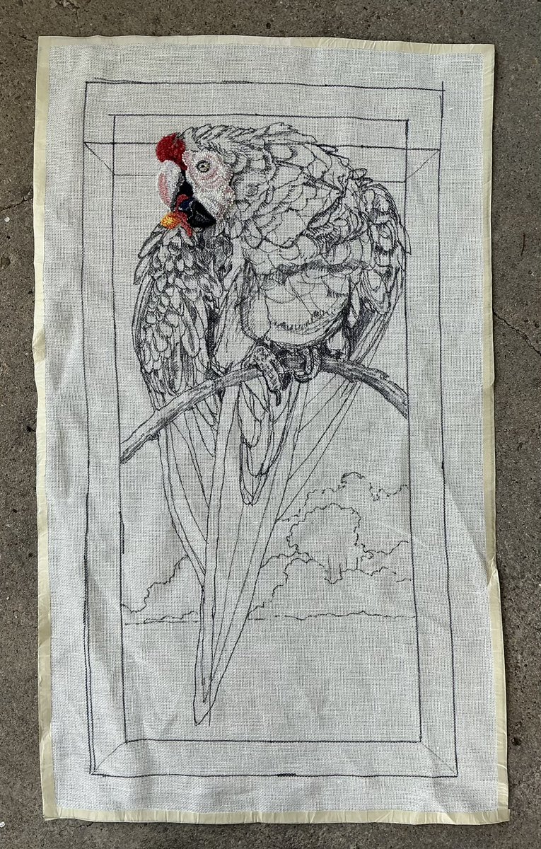 58rughooker's tweet image. So, I have already started a new rug. A fellow rug hooker is organizing a group project that features animals on the Endangered Species list. It's an awareness theme to show animals on the list, and I chose the Scarlet Macaw. I'm excited to be part of it and I'll post updates☺️