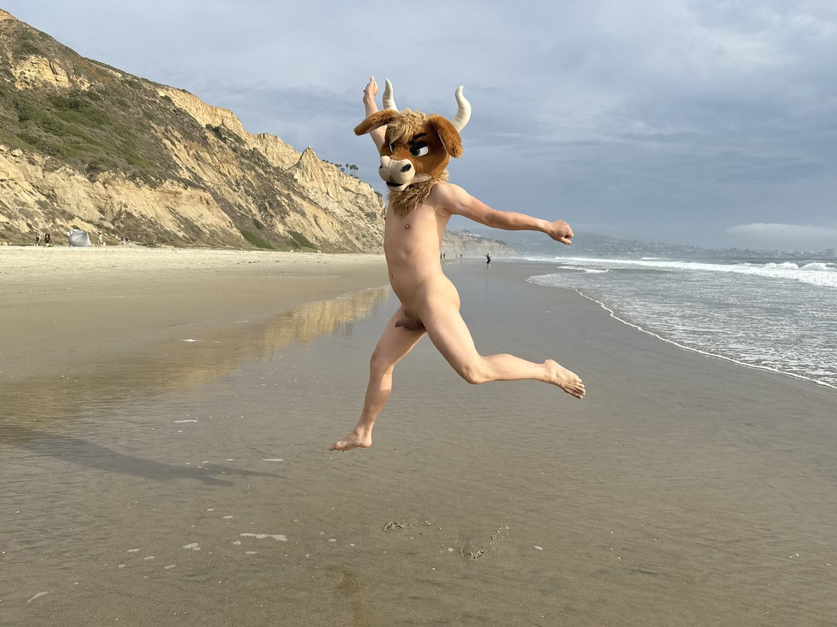 Something something cow jumping over  something 🐂🌛