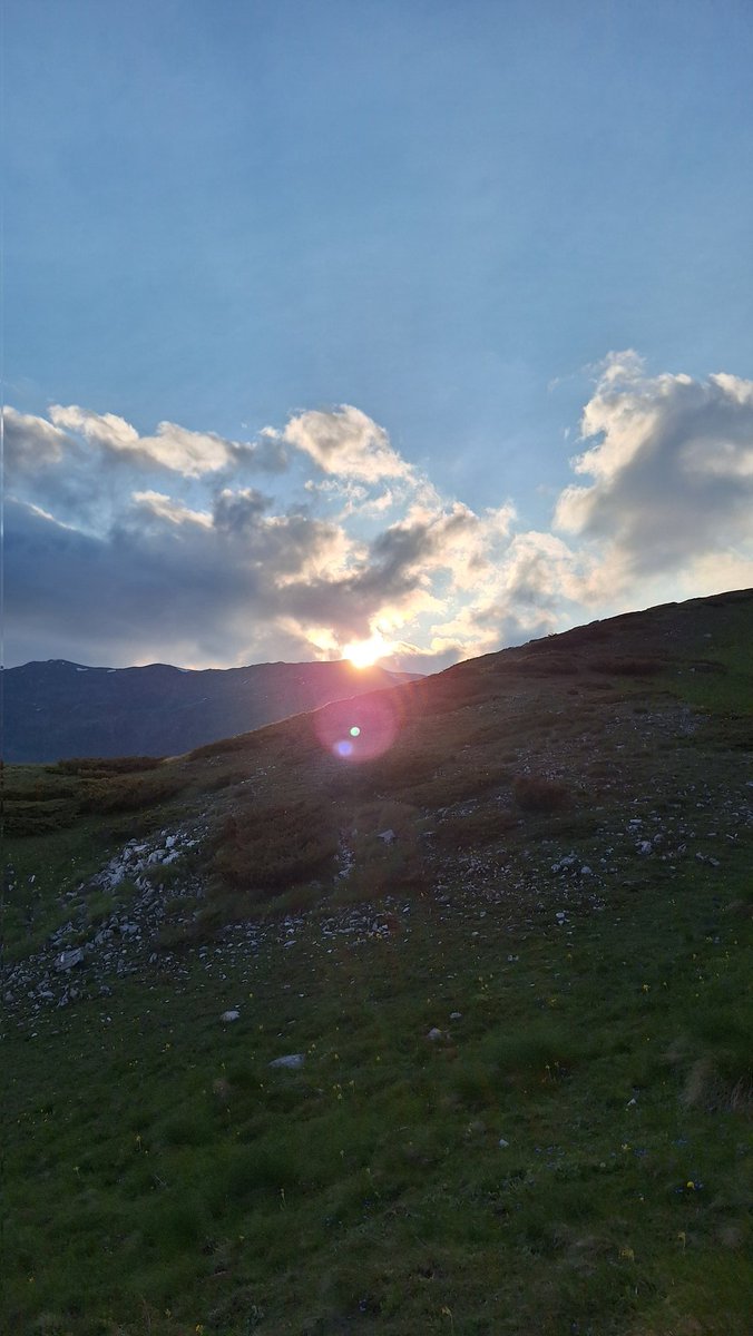 Toni Dimitrov (@toni_dimitroff) on Twitter photo 