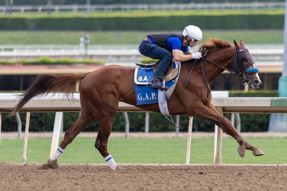 After the last break we worked Maltese Falcon, Tessuto (inside), Balladeer, Riding By (inside), Fleet Fleet and Cano for the Win. #GAPRacing