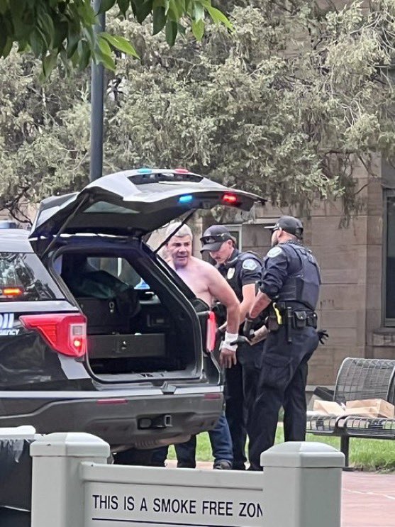 Sarah Fields tweet media