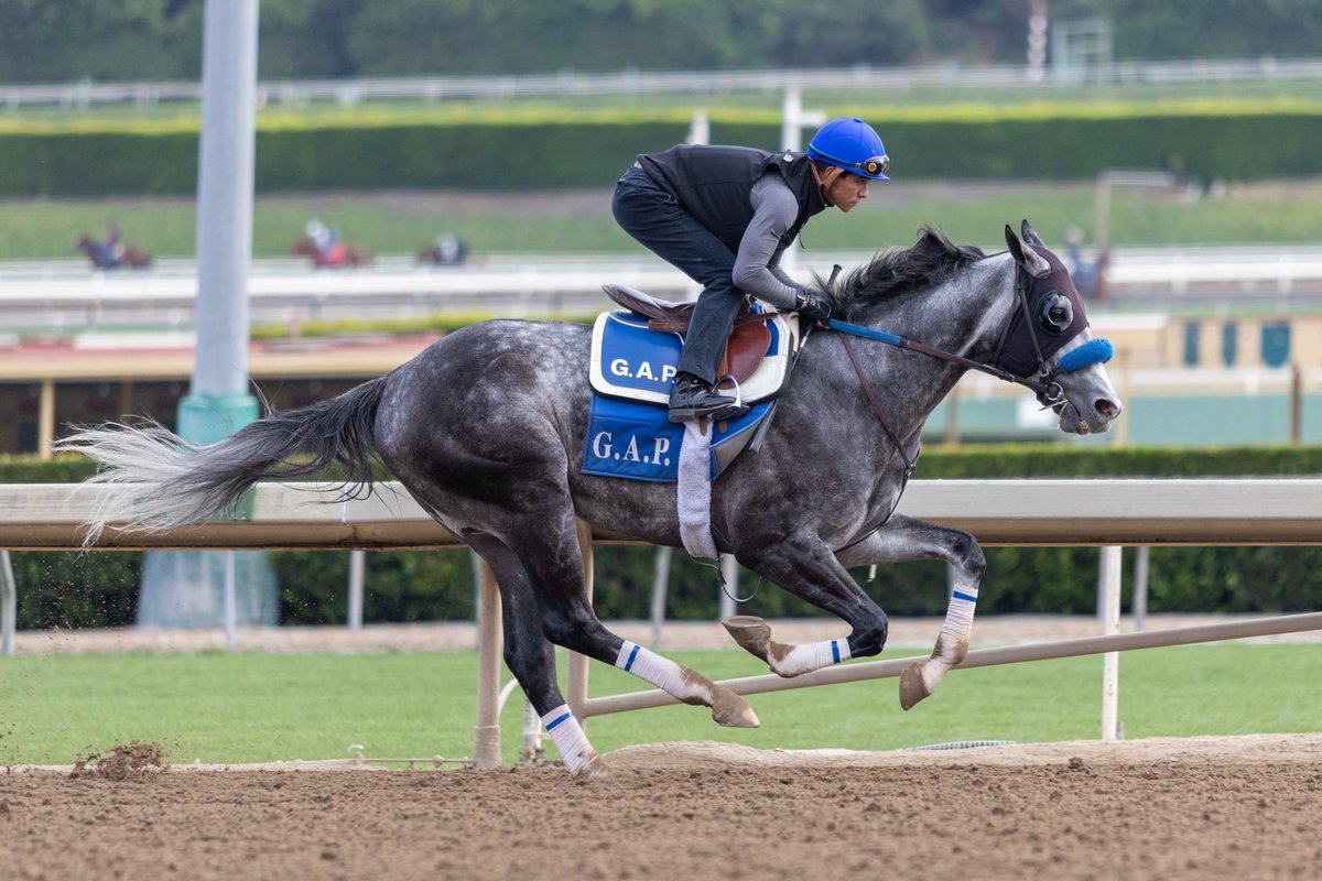 Last but not least, Captain Choochies was our last worker of the morning. #GAPRacing