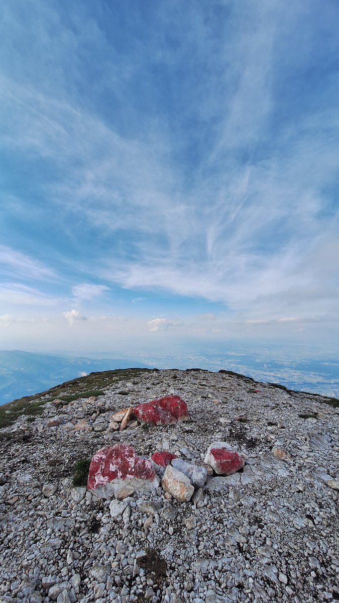 Toni Dimitrov (@toni_dimitroff) on Twitter photo 