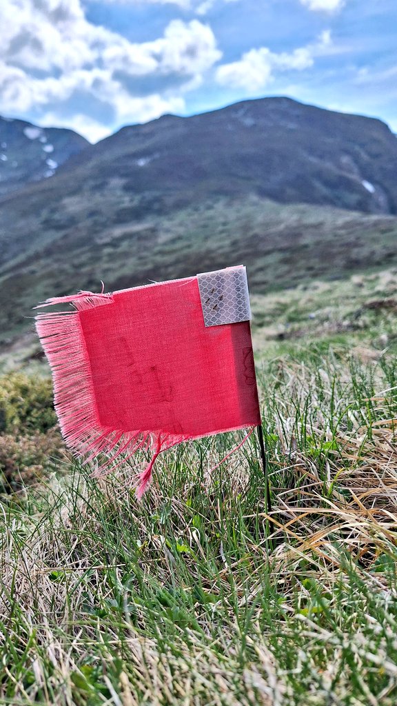 Toni Dimitrov (@toni_dimitroff) on Twitter photo 