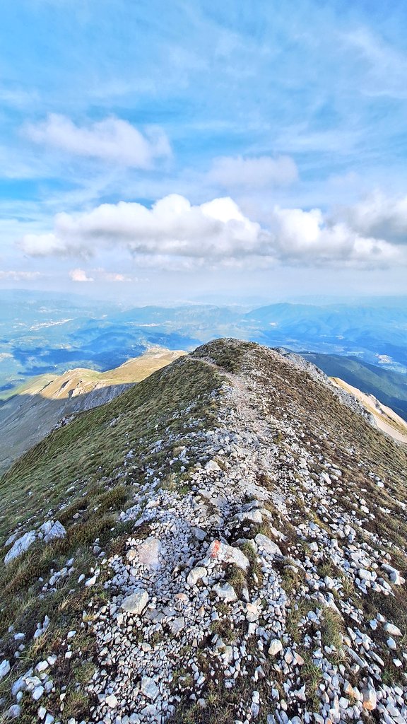 Toni Dimitrov (@toni_dimitroff) on Twitter photo 