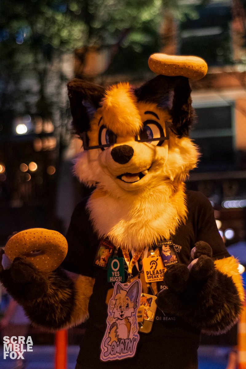 Highly recommend commissioning Scramble for Anthrocon fursuit photos! They did an amazing job last year, and they are super fun to work with!