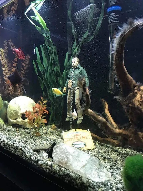 Is Jason in your tank?