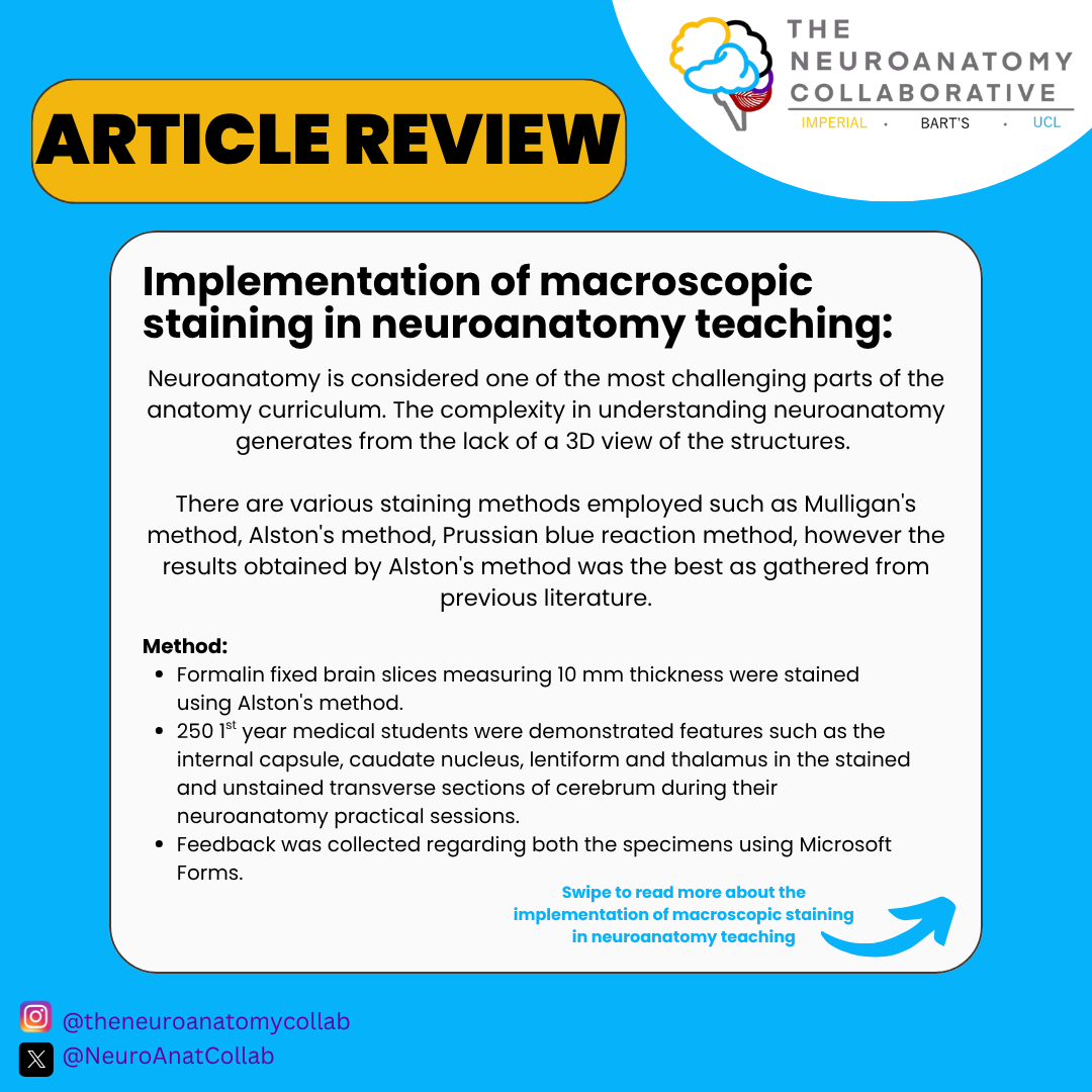 The Neuroanatomy Collaborative tweet media