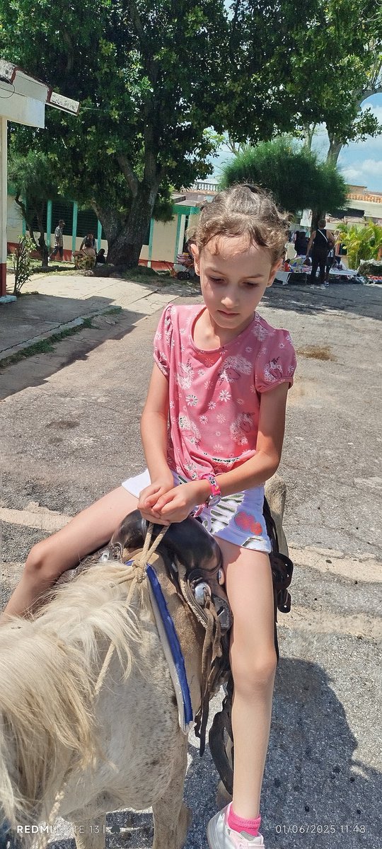 A esos que con una pequeña sonrisa te alegran el día, con su corazón pequeño y lleno de amor te transforma la vida, a todos los peques, feliz día de la infancia.
#PinardelRío