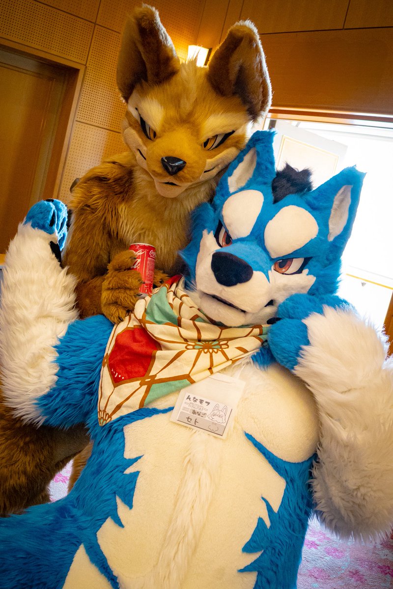 🥤🌊 Very nice wolves！🐺 #んなモフ 🐾