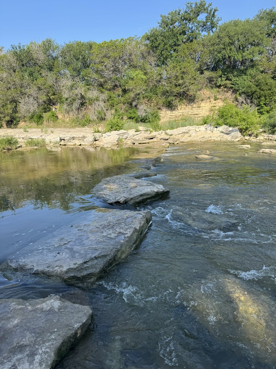Finally got to visit Dinosaur Valley State Park today! 

Soooo many theropod and sauropod fossil tracks along the Paloxi River. The tracks are Early Cretaceous in age. The theropod is believed to probably have been Acrocanthosaurus amd the Sauropod Sauroposeidon