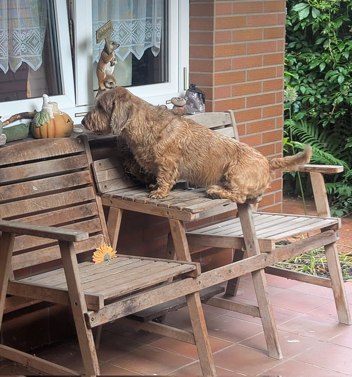 I am Happy 🤩 Minister für (K)rum(m)liegen tweet media