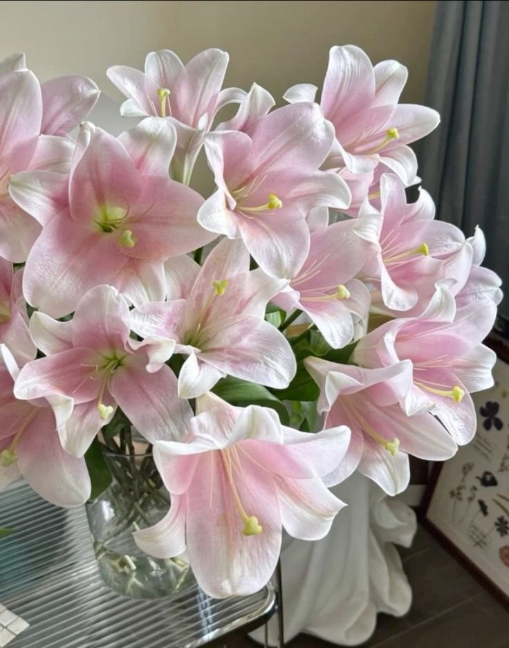 lavieestbelIe's tweet image. 