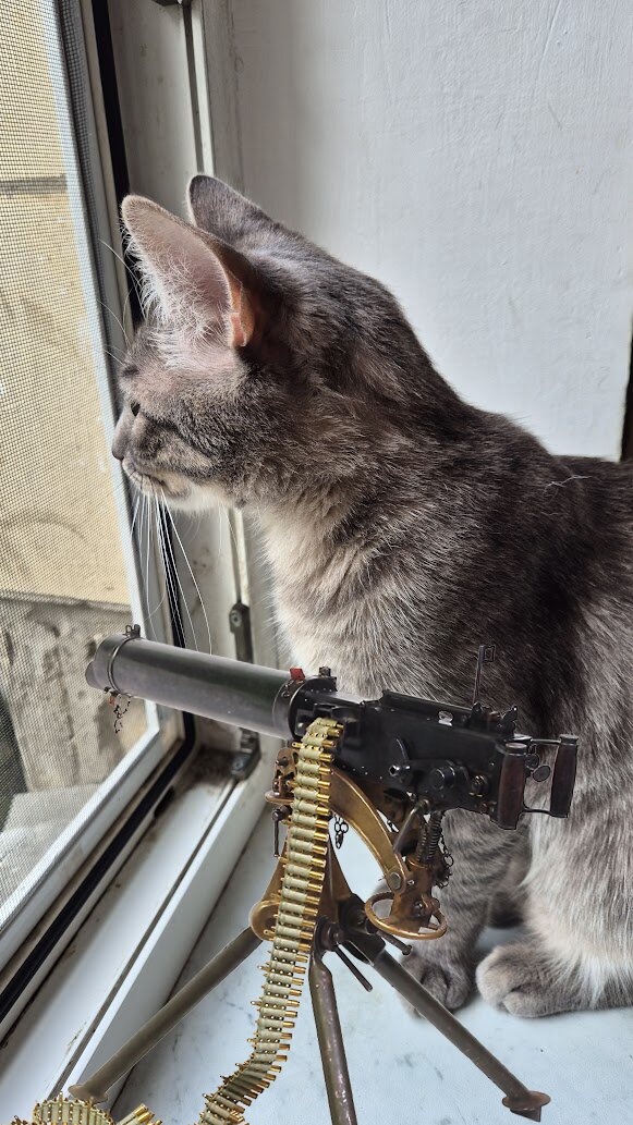 - I'm ready to defend my house.
Marcus