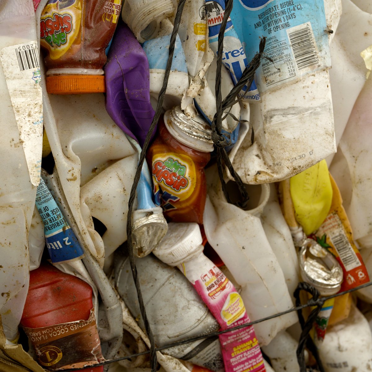 WeSEPO22's tweet photo. 🏷️ Don’t stress over labels — most plastic bottles are fine to recycle with them on.
Sort what you can and drop it off at East Park, Pinnacle, or Foxdale!
#LabelLogic #RecycleRight #WeSepoTips ♻️ https://t.co/04DmvSYInu