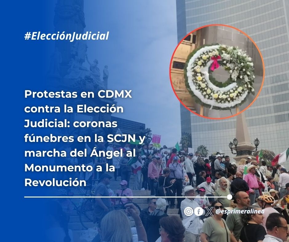 ES PRIMERA MX tweet media