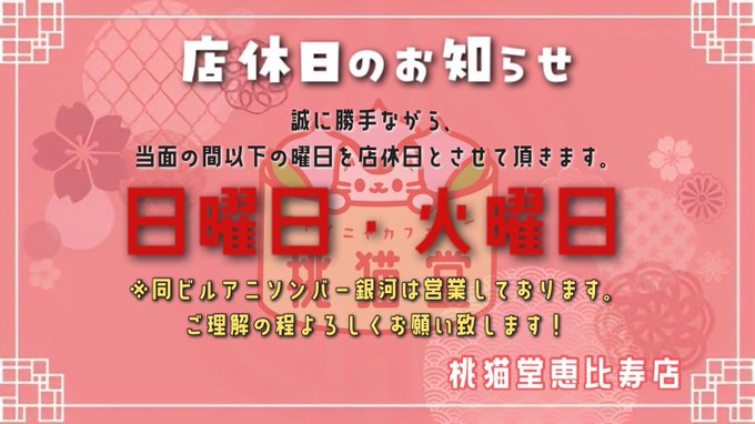 チャイニャコンカフェ桃猫堂恵比寿店