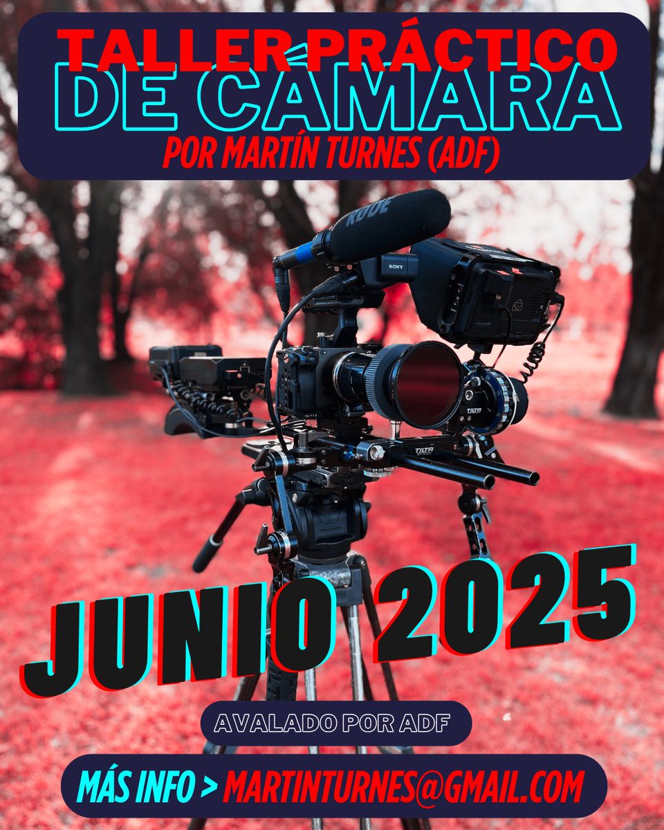 martinturnes's tweet photo. Próximo finde
TALLER DE CÁMARA 
PRÁCTICO en CABA

Quedan lugares
martinturnes@gmail.com https://t.co/17yYV703CU