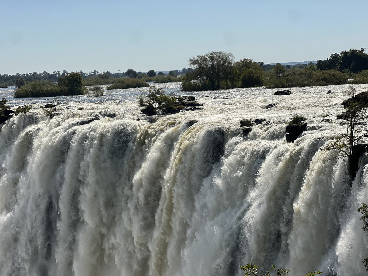 Rotaract Kampala North tweet media