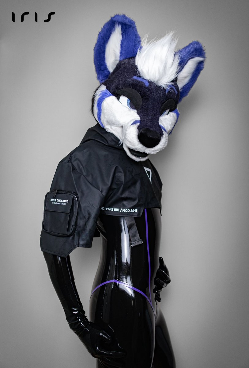 Shiny shiny fox 🦊💜🖤✨ #SqueakySunday #ShinySunday