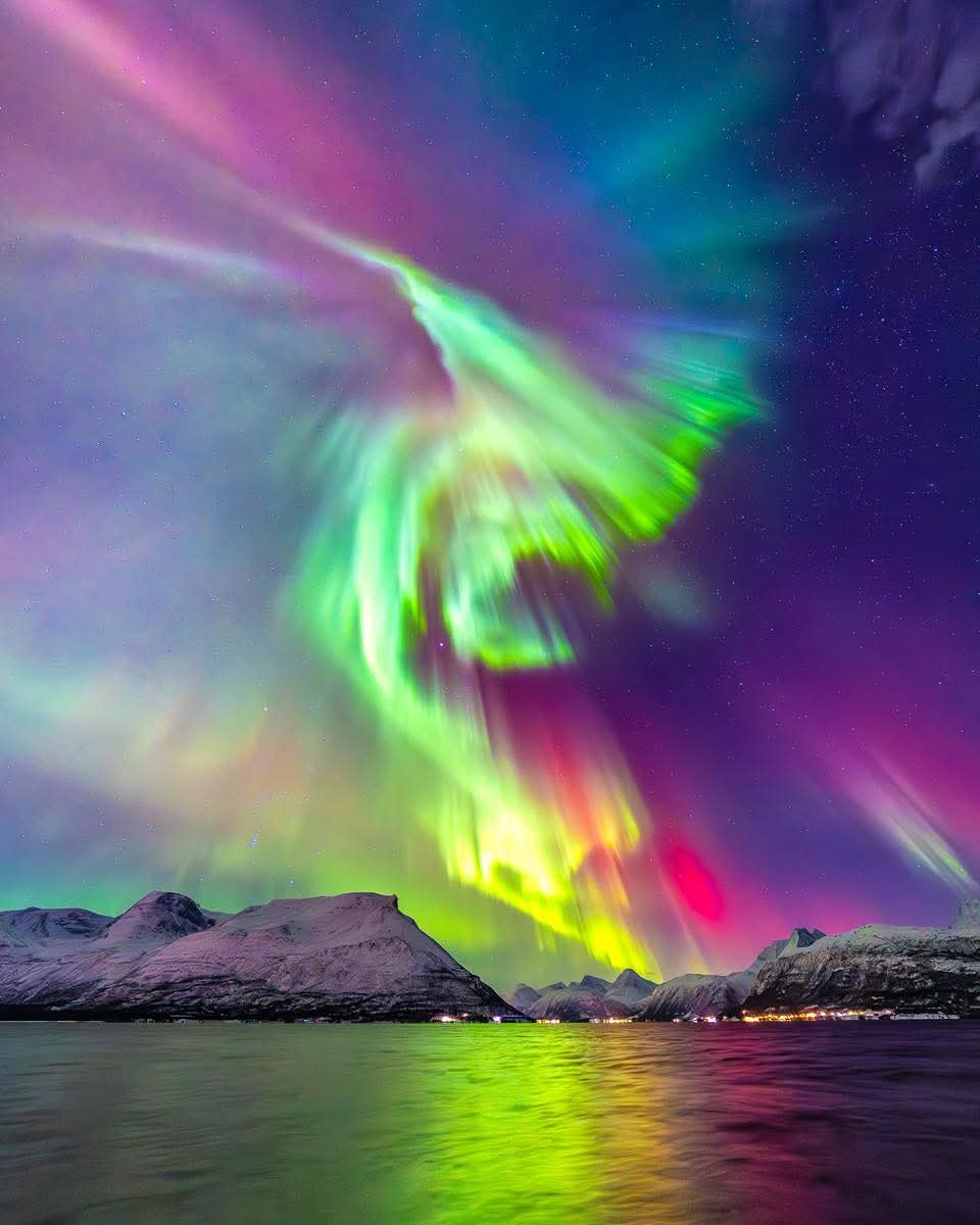 Catasach tweet media