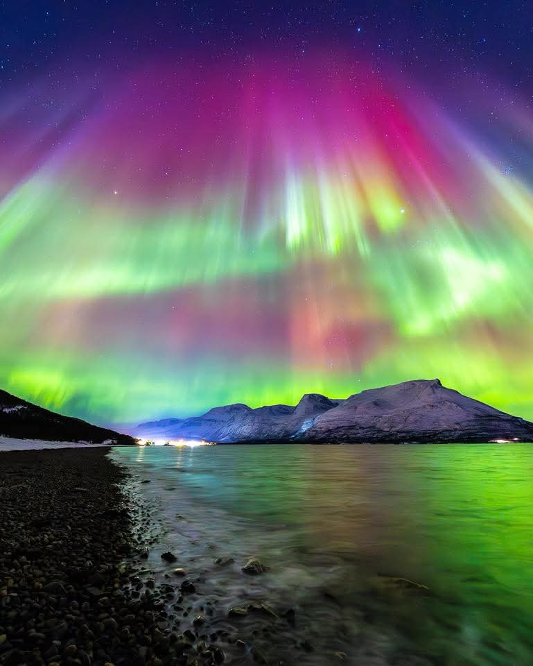 Catasach tweet media