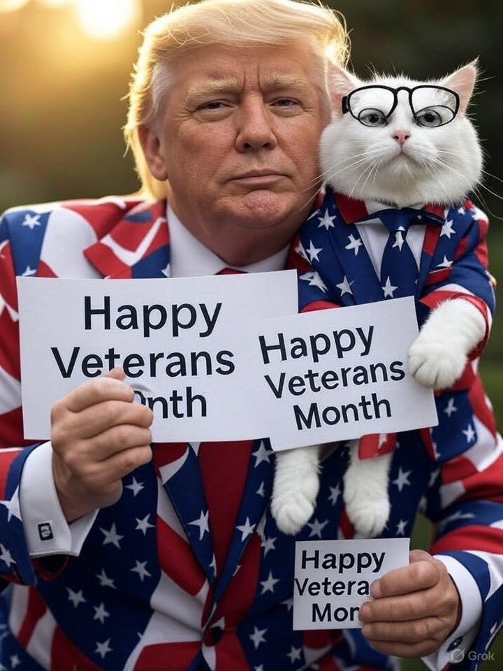 🇺🇸👊