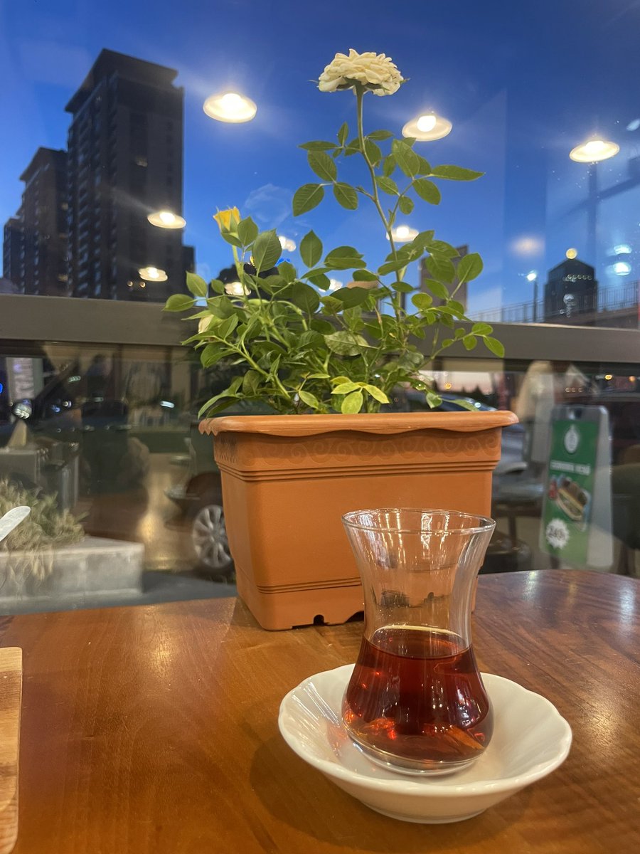 vartoist's tweet image. #Добрыйвечер