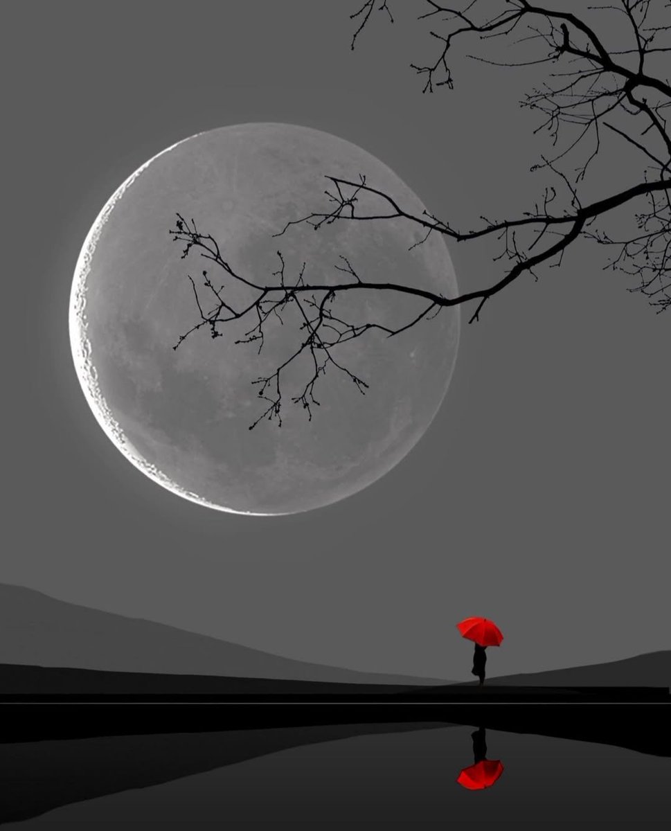 "Moonlight over silence."
🌘

#ai #AIart #Moon #DigitalArtist
#digitalart #moonlight #Silence

By niphisi