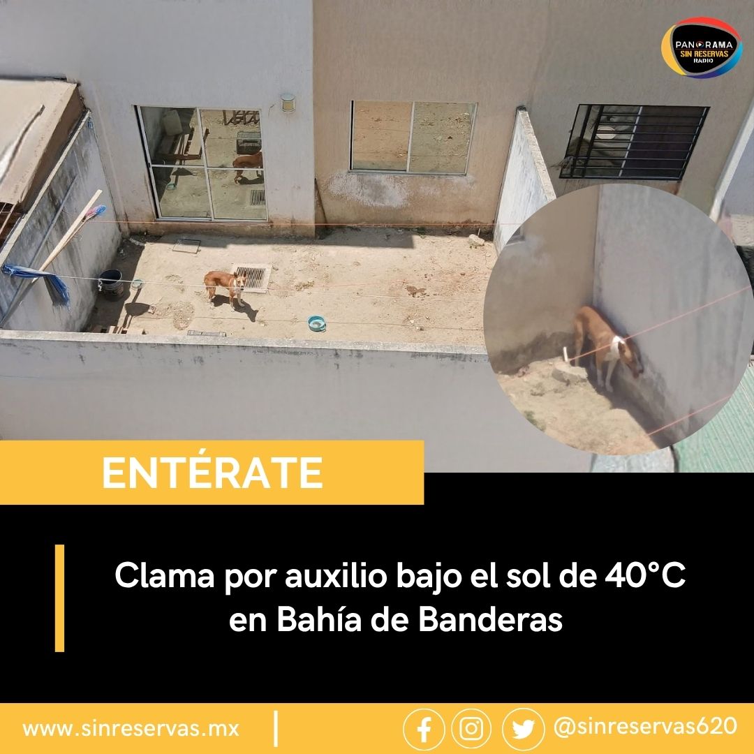 Panorama Sin Reservas 620 AM tweet media