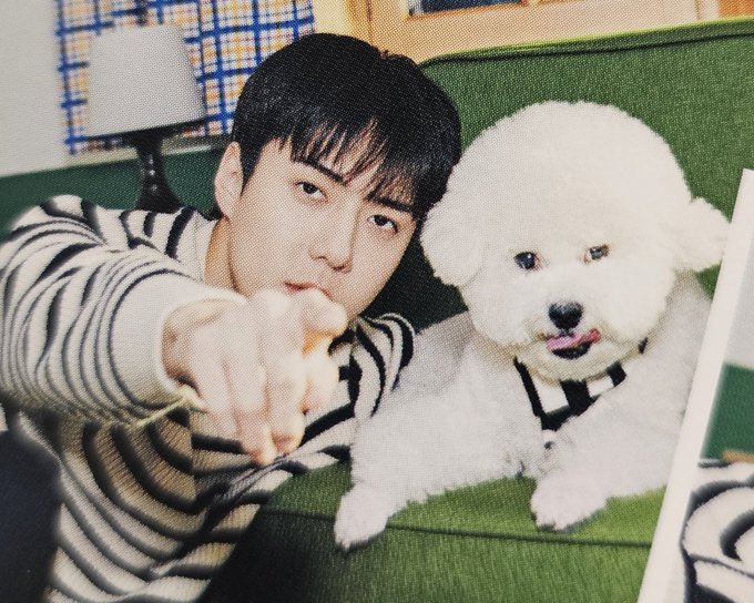 ͏
              [ Kaseh Daily Update ]
͏