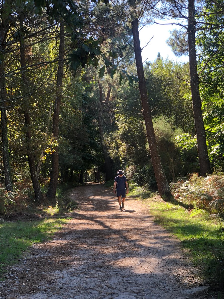 I love walking.

It's the best thing I do for my mental health. 

Allows me to unplug and exercise at the same time.

No phone. 
No notifications. 

Just thoughts and steps.

Love love love walking, esp. long distances that feel like meditation.
