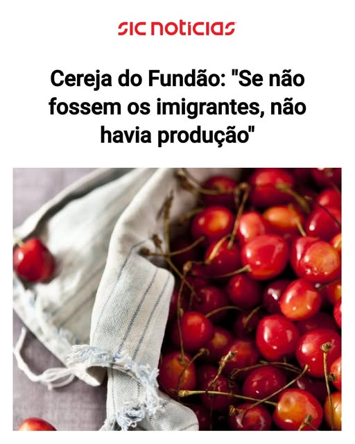 Hermínio Cerqueira (@herminiocerq) on Twitter photo 