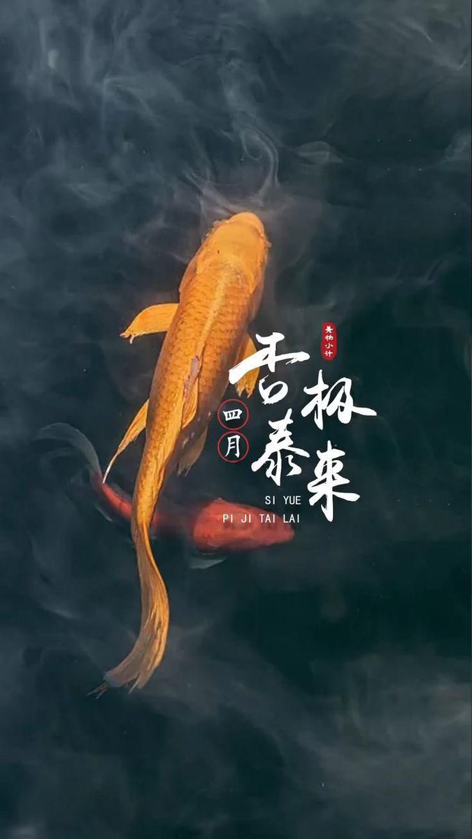 shanghai899's tweet photo. 晚嵐自古從風散、朝露由來待日晞，
安得困魚孤意適、不因驚鳥寸心微。

七絕五微。 https://t.co/ALloEKy1o3