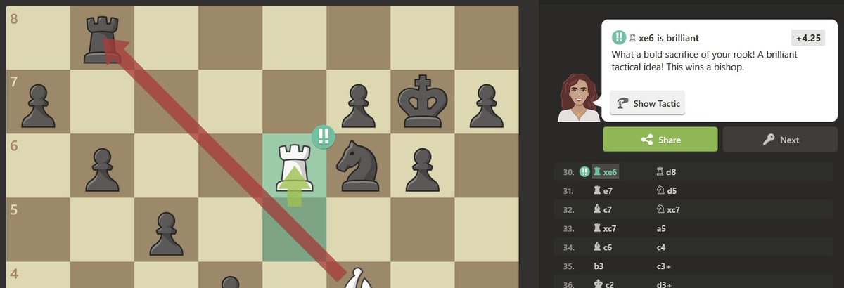 SAC THE ROOK!! IYKYK