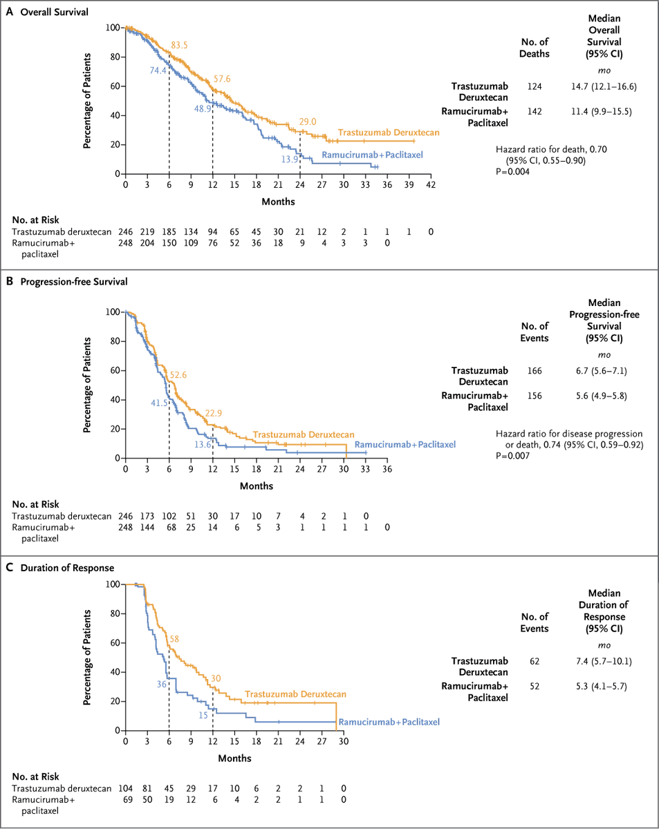 DESTINY-Gastric04 slide