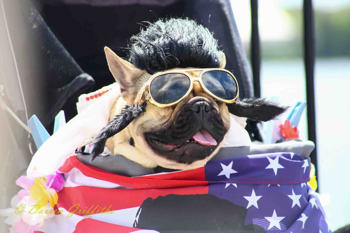 Elvis A Day in the Bay

The Porthcawl Elvis Festival spread their wings &amp; bring the Elvis experience to Mermaid Quay in Cardiff Bay