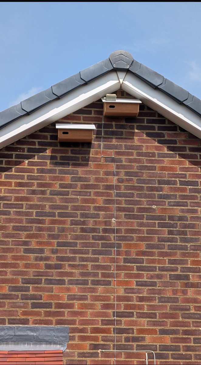 A neighbour has put these up , maybe a tad late but there’s hope with people and actions like this 🪶🪶🪶<a href="/WriterHannahBT/">Hannah Bourne-Taylor</a>