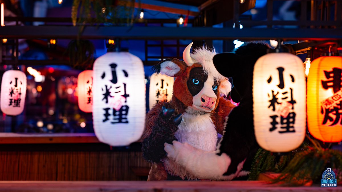 Blue Hasia Photography (@bluehasia) on Twitter photo 