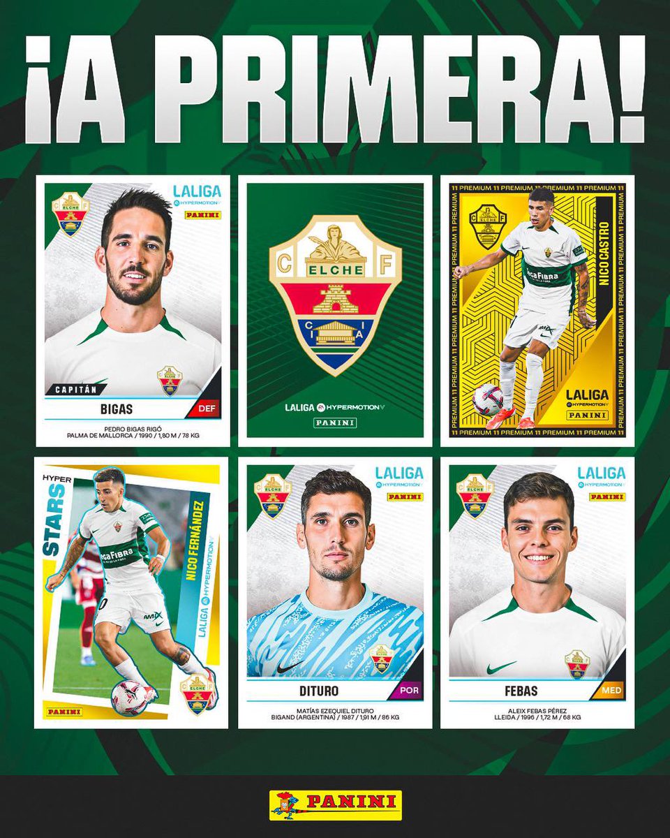 🌴💚 ¡EL <a href="/elchecf/">Elche Club de Fútbol 🌴💯</a> VUELVE A <a href="/LaLiga/">LALIGA</a>! ¡Enhorabuena!