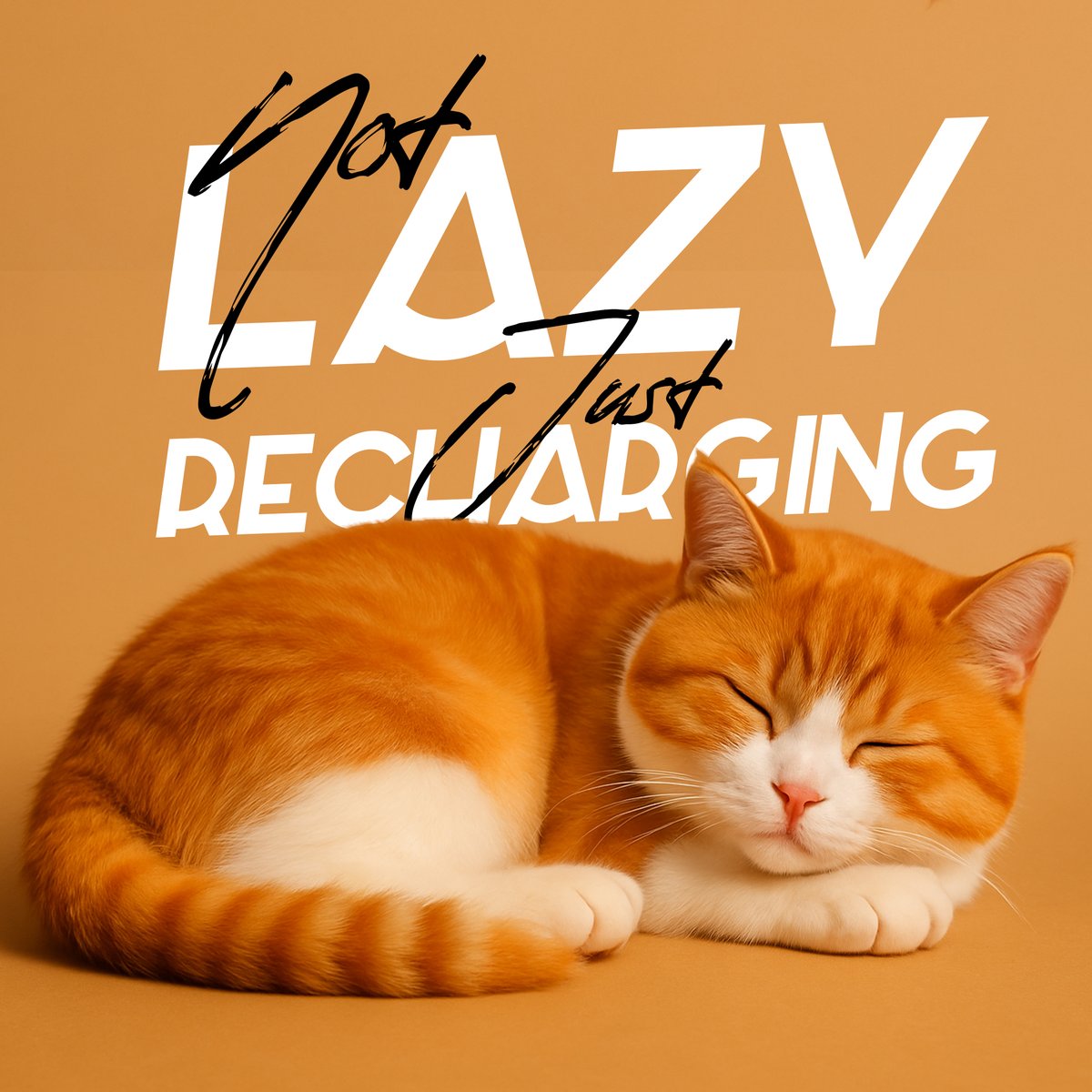 Not lazy. Just recharging. 😴

Sundays are made for naps — and so are cats.

May your week end as peacefully as this one 🧡

#CatMood #LazySunday #Mascoshop