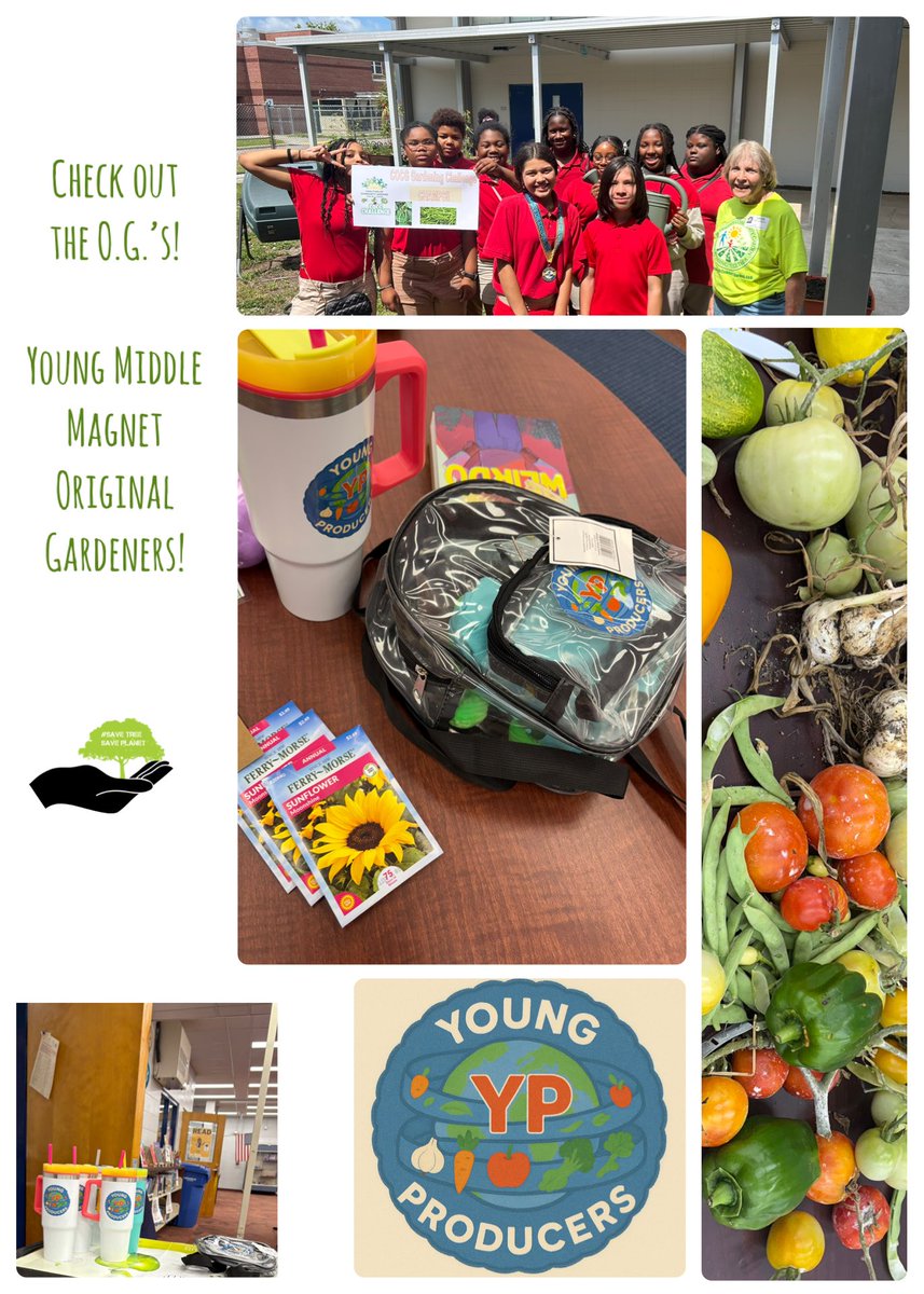 Mitzi Mack tweet media