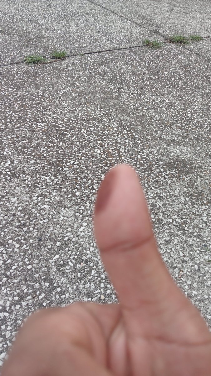 El Gran Ludwig  (@thebigludwig) on Twitter photo Ya voté para acabar con los ministros que sirven a las élites y al poder económico.
Ya voté por sacar a magistrados que tuercen la ley en nombre de nepotismos y compadrazgos.
Ya voté para correr a jueces que venden sus sentencias y fomentan la impunidad.
#ElecciónJudicial
Plan C Ya voté para acabar con los ministros que sirven a las élites y al poder económico.
Ya voté por sacar a magistrados que tuercen la ley en nombre de nepotismos y compadrazgos.
Ya voté para correr a jueces que venden sus sentencias y fomentan la impunidad.
#ElecciónJudicial
Plan C