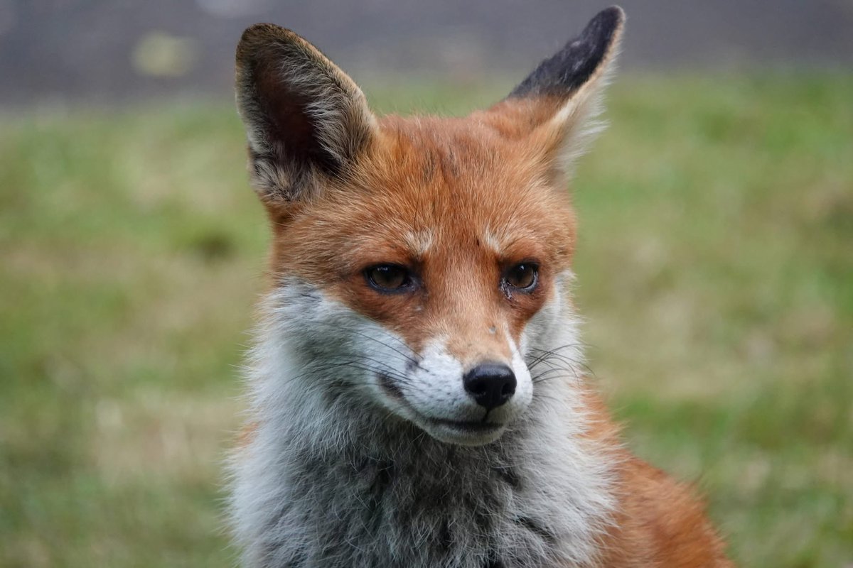 Annette parish tweet media