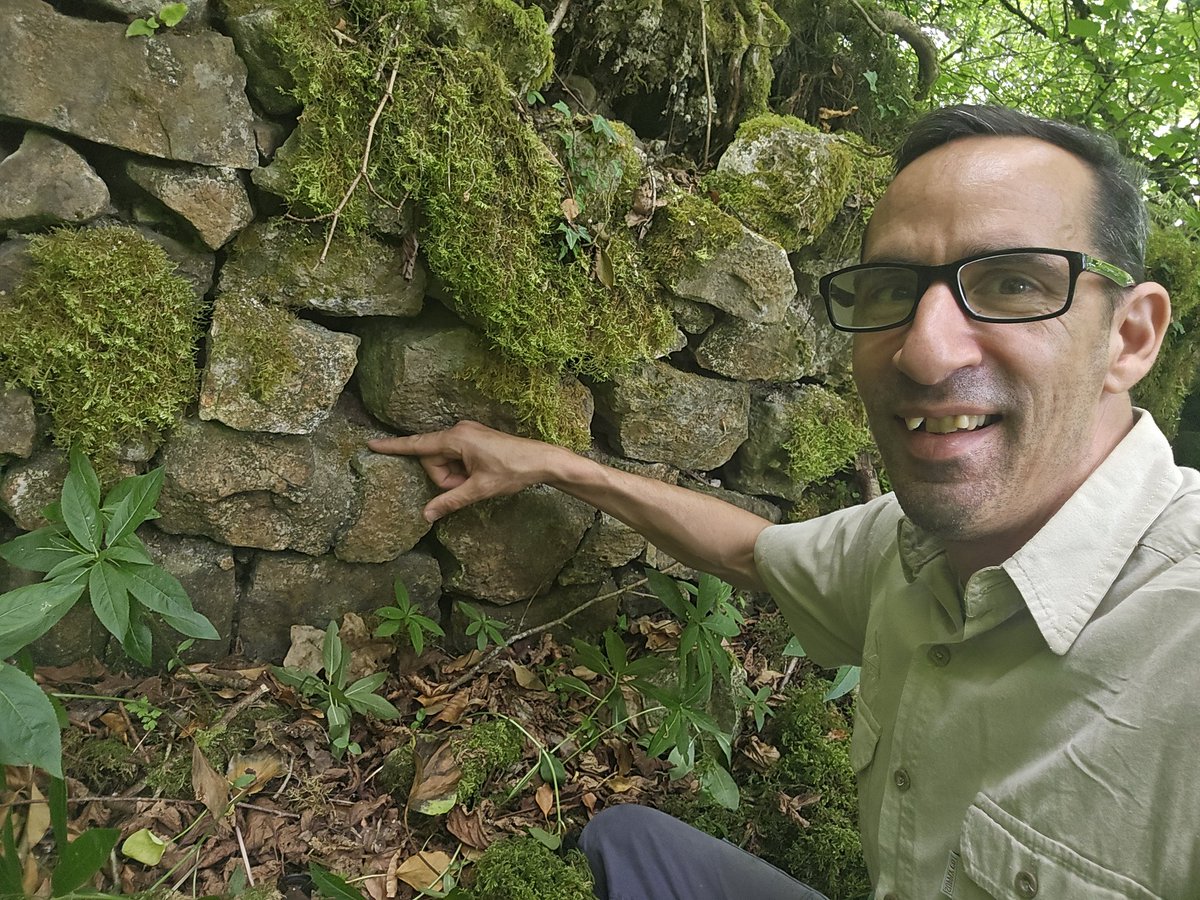 Jamie warren (@jamiewa50042387) on Twitter photo Compact Feather-moss (Conardia compacta) growing on the Rocks of an old abandoned cottage below Coldwell Rocks in the Wye valley yesterday , four nice patches counted yesterday ,nice to see this raretydoing ok <a href="/BBSbryology/">BBSBryology</a> Compact Feather-moss (Conardia compacta) growing on the Rocks of an old abandoned cottage below Coldwell Rocks in the Wye valley yesterday , four nice patches counted yesterday ,nice to see this raretydoing ok <a href="/BBSbryology/">BBSBryology</a>