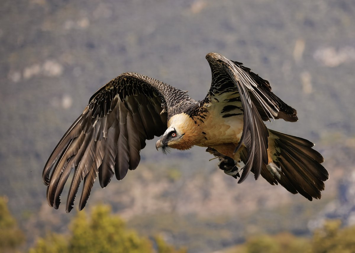 Steve Ashton tweet media