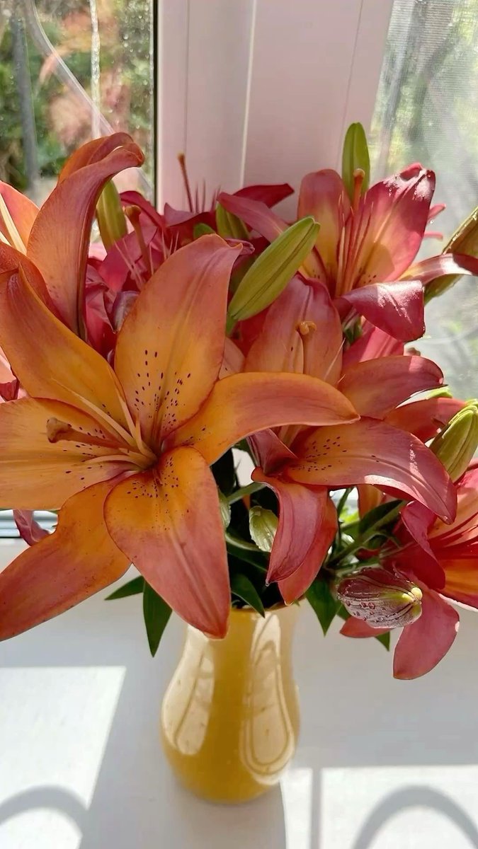 🫶🏽🌞🌺🌸✨