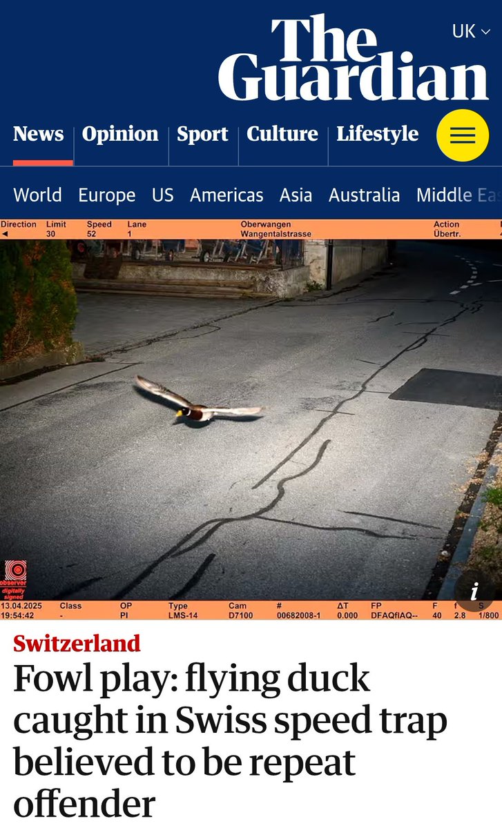 enigmachine's tweet image. Jon Jones can't move fast enough, it seems.  
A repeat offender, indeed. 🦆 
Strip Jon Jones! #StripJonJones