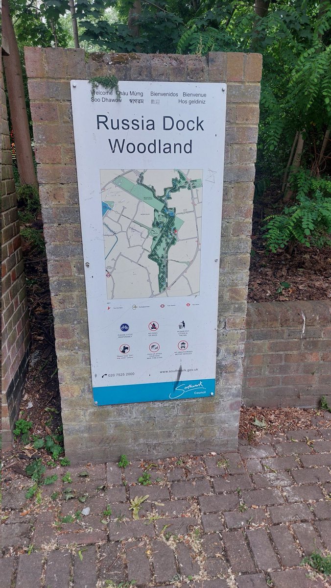 Rotherhithe SNT tweet media