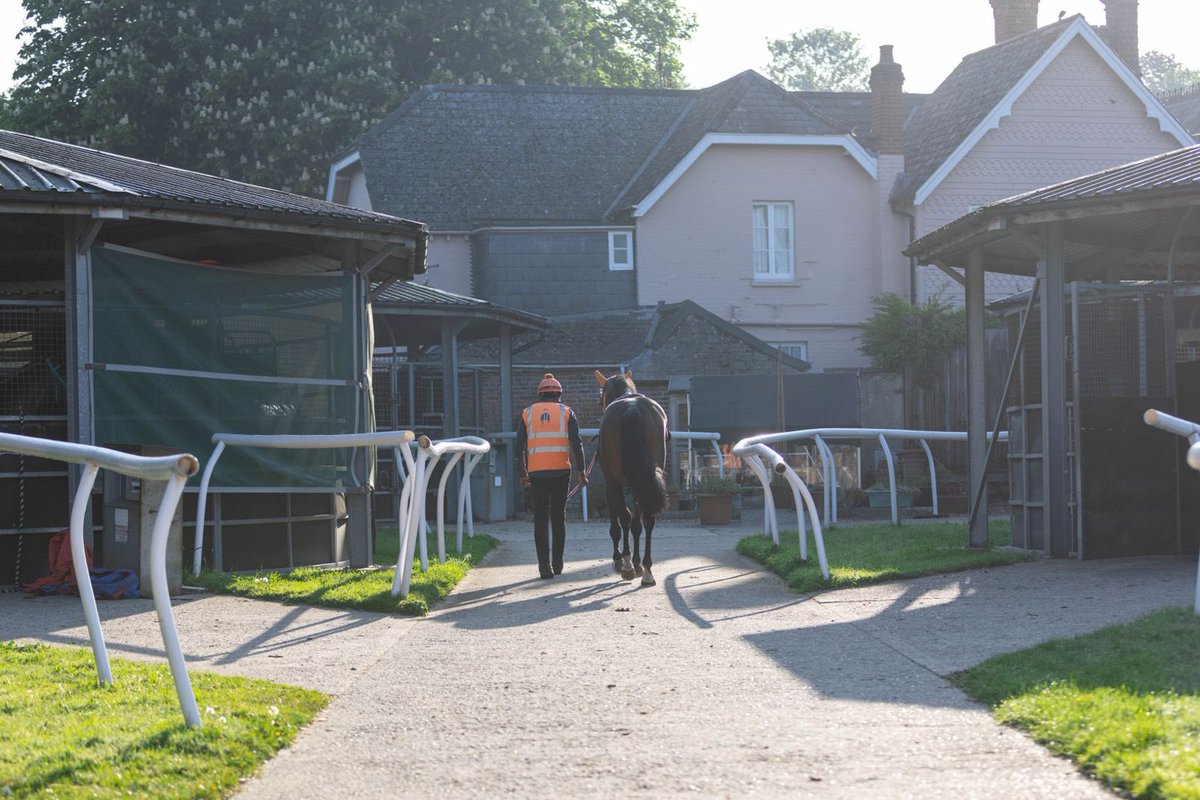 May over and out! 👋🏼

The team are all eyes on a busy June with the pinnacle being Royal Ascot 👑

#SL #SomervilleLodge